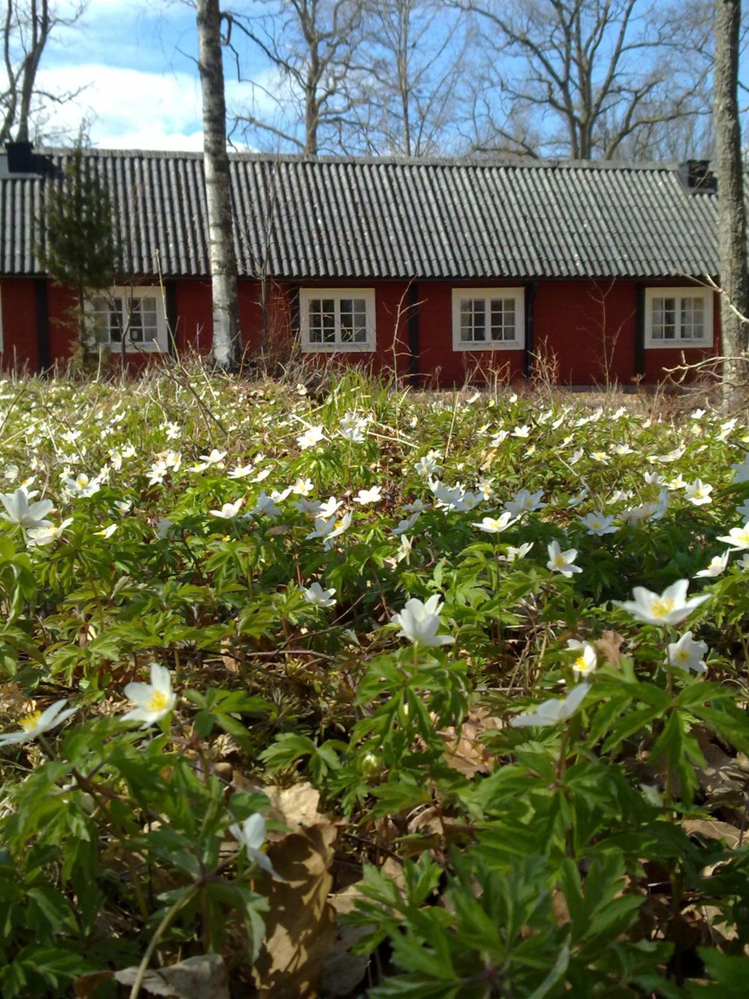 Stf Langasjoe Vandrarhem Exterior foto